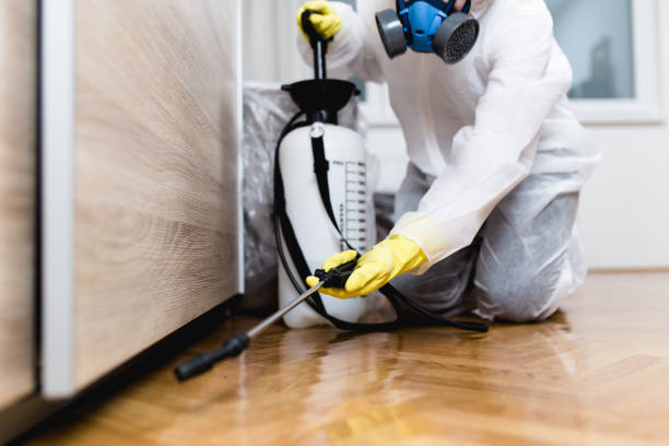 Best Rat Extermination Near Me  in Moundsville, WV