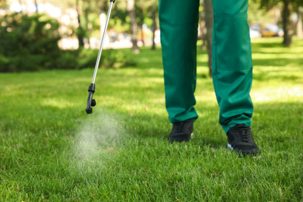 Best Mosquito Control Services  in Moundsville, WV