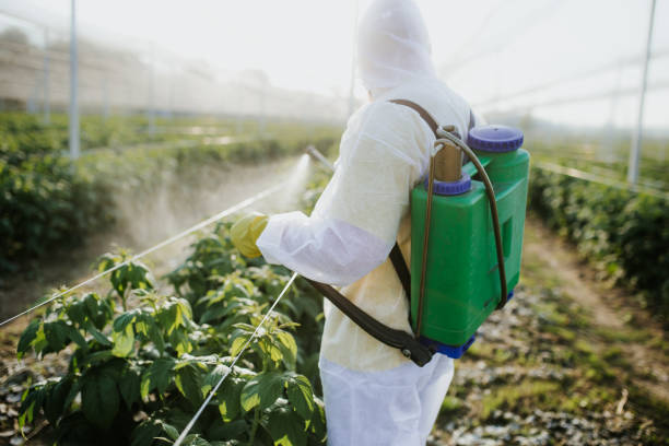 Best Termite Control Services  in Moundsville, WV